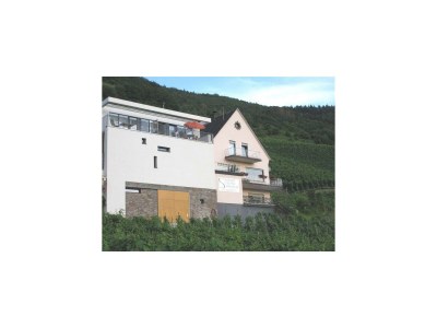Apartment 4-Bettwohnung "Riesling-Suite" in Senheim - Apartment