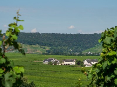 Apartment 2-Bettwohnung Riesling **** (Winzerhof) - Outdoor photo 15