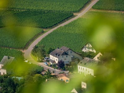 Apartment 2-Bettwohnung Spätburgunder *** (Winzerhof) - Outdoor photo 13