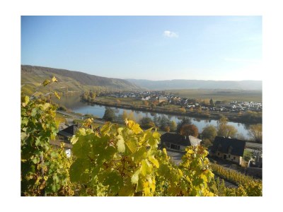 Apartment 4-Bettwohnung Mosel - Outdoor photo 5