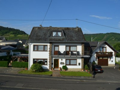 Apartment 4-Bettwohnung Müller-Thurgau I in Leiwen - Apartment