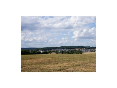 Apartment Ferienhaus am Flaumbach - Outdoor photo 8