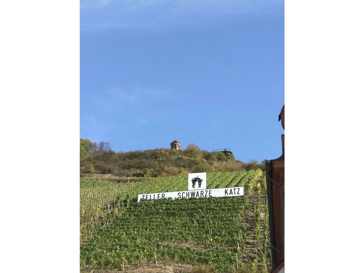 Apartment Ferienwohnung Kleine Auszeit