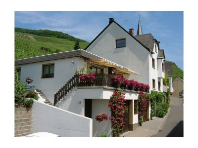 Apartment 2-Bettwohnung, Ferienwohnung 2 in Zell-Merl - Apartment
