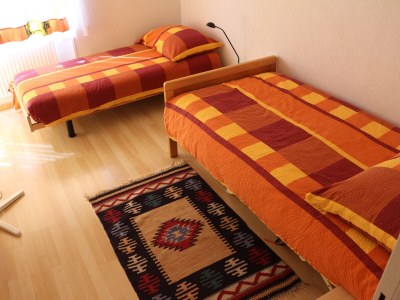 Holiday apartment Blonay Logis de Vacances - Features photo 16