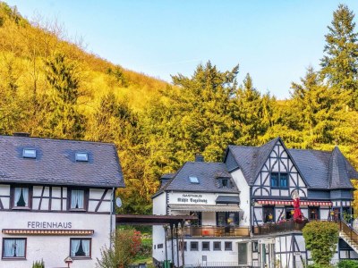 Apartment Tiny Mühlenhäuschen in Brodenbach - Apartment
