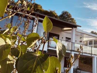 Apartment Ferienwohnung Rheinpanorama - Outdoor photo 8