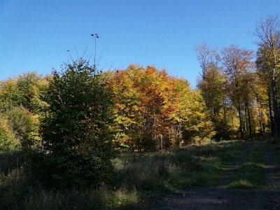 Apartment Helles und gemütliches Feriendomizil - Outdoor photo 25