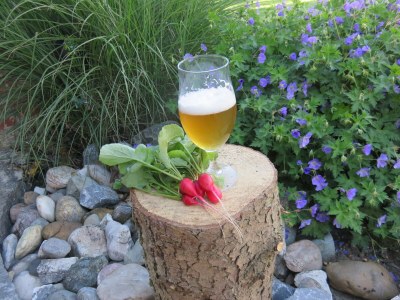 Holiday apartment at the holiday farm Handlesbauer - Outdoor photo 14