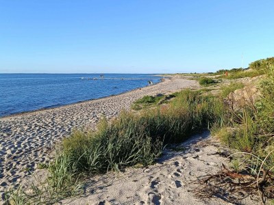 Holiday house 8 Personen Ferienhaus in Nordborg-By Traum - Outdoor photo 41