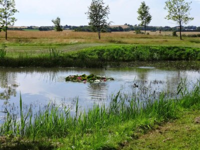 Holiday house 6 Personen Ferienhaus-By Traum - Outdoor photo 17