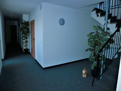 Apartment Peaceful Stay in Winterberg - Features photo 12