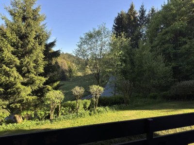 Apartment Peaceful Stay in Winterberg - Environment photo 34