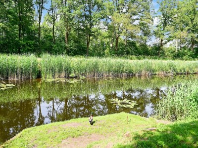 Holiday house Haus in Reutum mit Jacuzzi & Waldblick - Environment photo 30