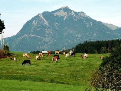 Cottage Schöb-Fritz - Environment photo 19