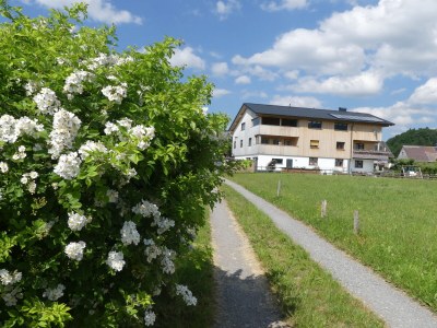Holiday apartment Hangspitze - Outdoor photo 3