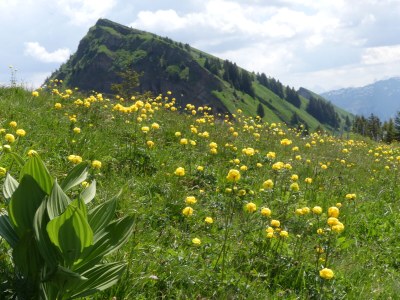 Holiday apartment Hangspitze - Outdoor photo 8