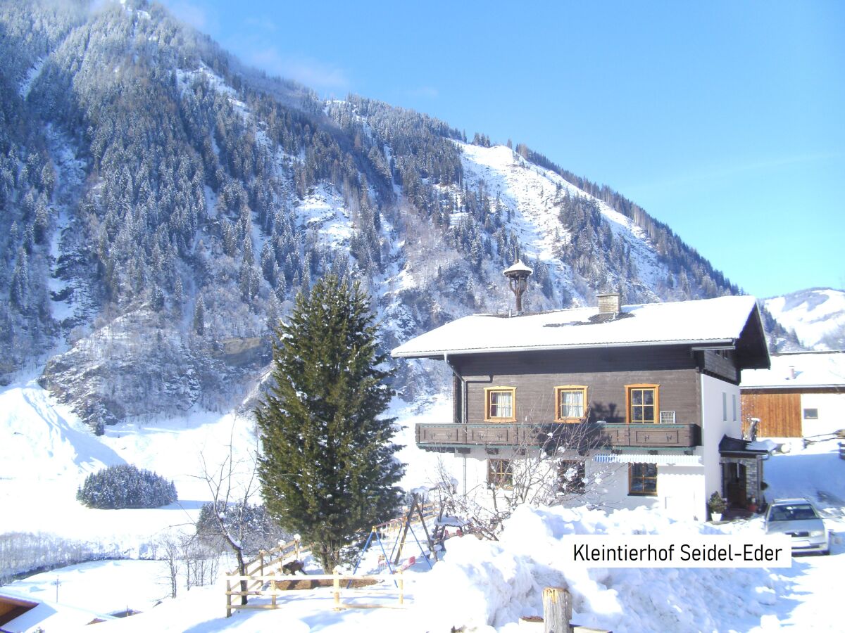 Holiday apartment Kleintierhof Seidl-Eder - Outdoor photo 2