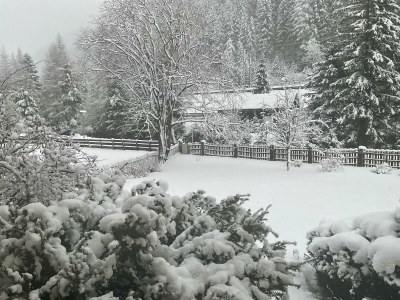 Holiday room Doppelzimmer Anna - Outdoor photo 17