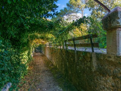 Apartment Son Vivot - Nº4 Hab. Doble Salón - Adults Only - Outdoor photo 16
