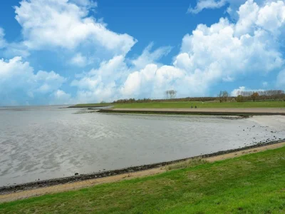 Holiday house Holiday Home in Zeeland near Nature Reserve - Environment photo 37