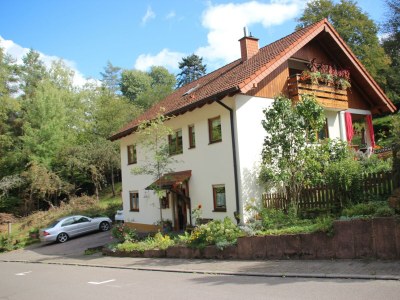 Apartment Ferienwohnung I mit Zugang zum Garten in Rinnthal - Apartment