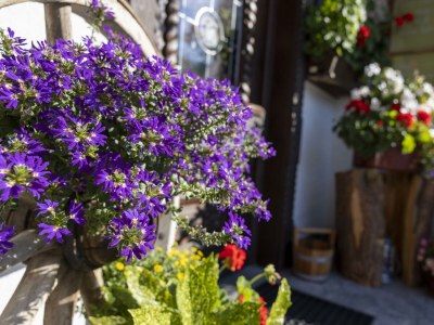 Apartment Appartement Lavendel - Outdoor photo 4