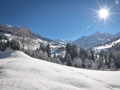 Apartment Appartement Edelweiss - Outdoor photo 62