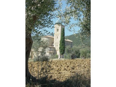 Holiday house Casa La Fonte - Olivastra - Environment photo 34