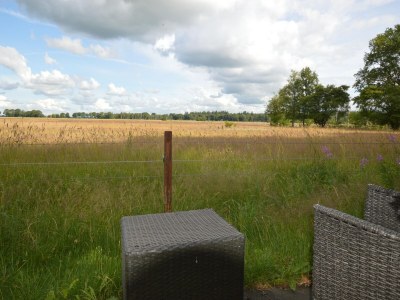 Holiday house Ferienhaus bei Sallandse Heuvelrug - Outdoor photo 4