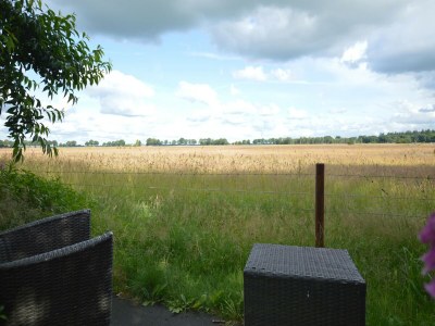 Holiday house Ferienhaus bei Sallandse Heuvelrug - Outdoor photo 16