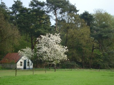 Holiday house Ferienhaus bei Sallandse Heuvelrug - Environment photo 36