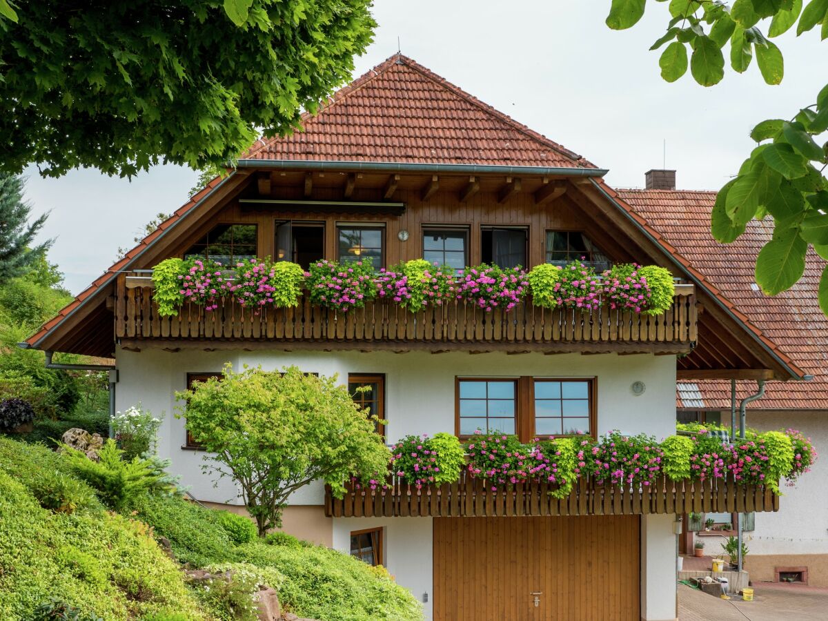 Farmhouse Gemütliche Ferienwohnung im Schwarzwald