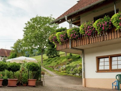 Farmhouse Gemütliche Ferienwohnung im Schwarzwald - Outdoor photo 6