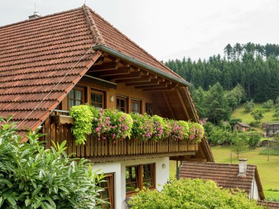 Farmhouse Gemütliche Ferienwohnung im Schwarzwald - Outdoor photo 7