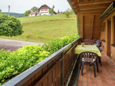 Farmhouse Gemütliche Ferienwohnung im Schwarzwald - Outdoor photo 8