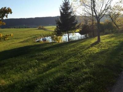 Farmhouse Gemütliche Ferienwohnung im Schwarzwald - Environment photo 36