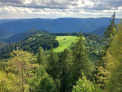 Farmhouse Gemütliche Ferienwohnung im Schwarzwald - Environment photo 39