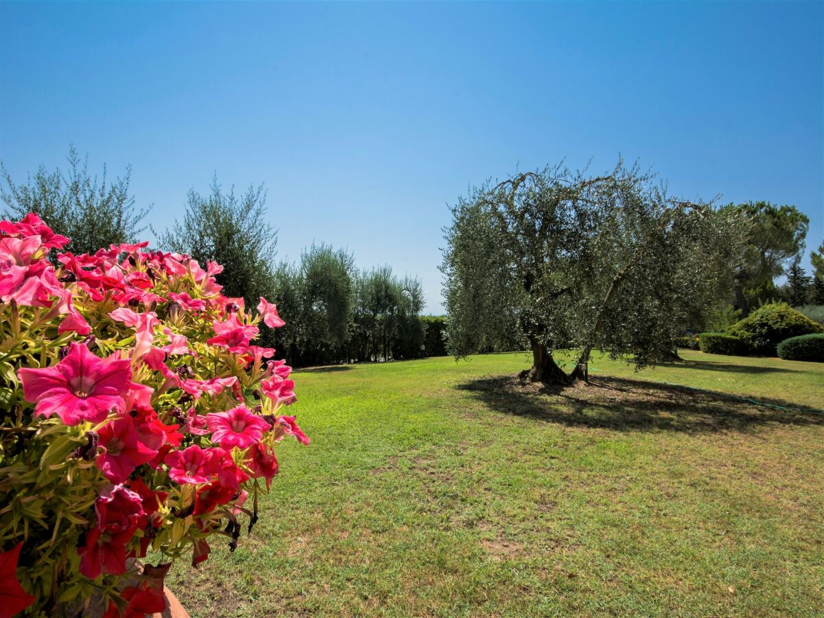 Farmhouse Bauernhaus in Castelfiorentino mit Pool - Outdoor photo 2