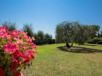 Farmhouse Bauernhaus in Castelfiorentino mit Pool - Outdoor photo 2