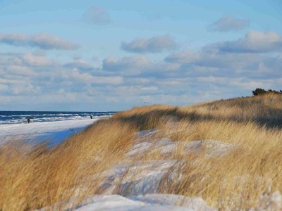 Holiday house at the Dike in Prerow on the Baltic Sea - Environment photo 34