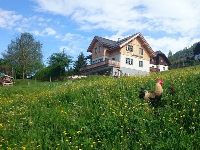 Apartment Wohnung "Sandra" in Bad Mitterndorf - Apartment