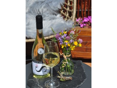 Apartment Appartement "Weisserberg" - Outdoor photo 2