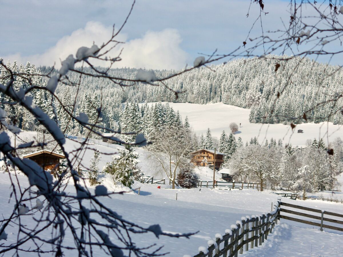 Holiday room Einzelzimmer, Dusche, WC - Outdoor photo 5