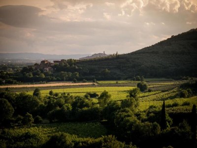Holiday house Charmantes Stein-Retreat - Environment photo 29