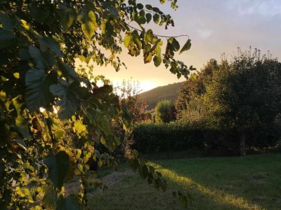 Holiday house Charmantes Stein-Retreat - Environment photo 32