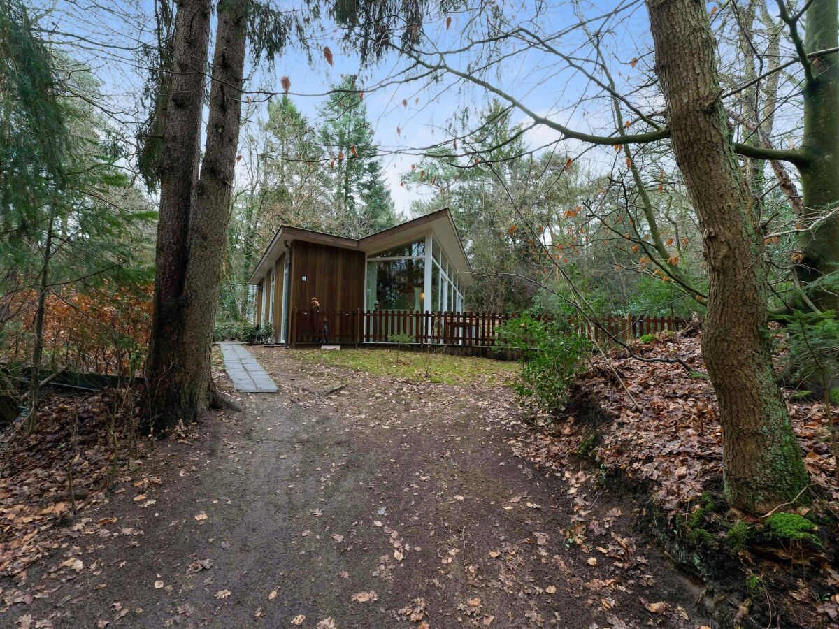 Holiday house Waldhaus in Norg mit privater Sauna - Outdoor photo 3