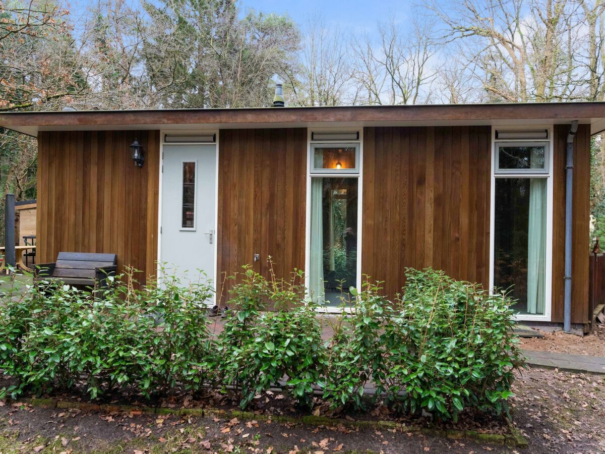 Holiday house Waldhaus in Norg mit privater Sauna - Outdoor photo 4