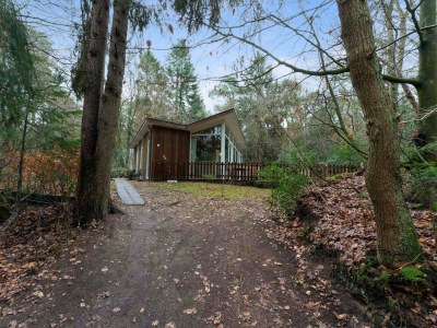 Holiday house Waldhaus in Norg mit privater Sauna - Outdoor photo 3