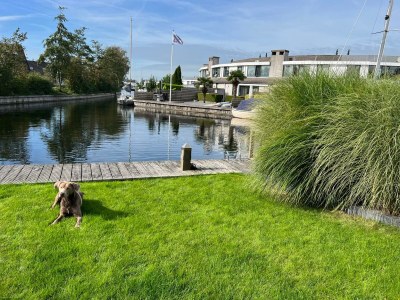 Holiday house Het Brekkense Wiel 139 - Outdoor photo 5